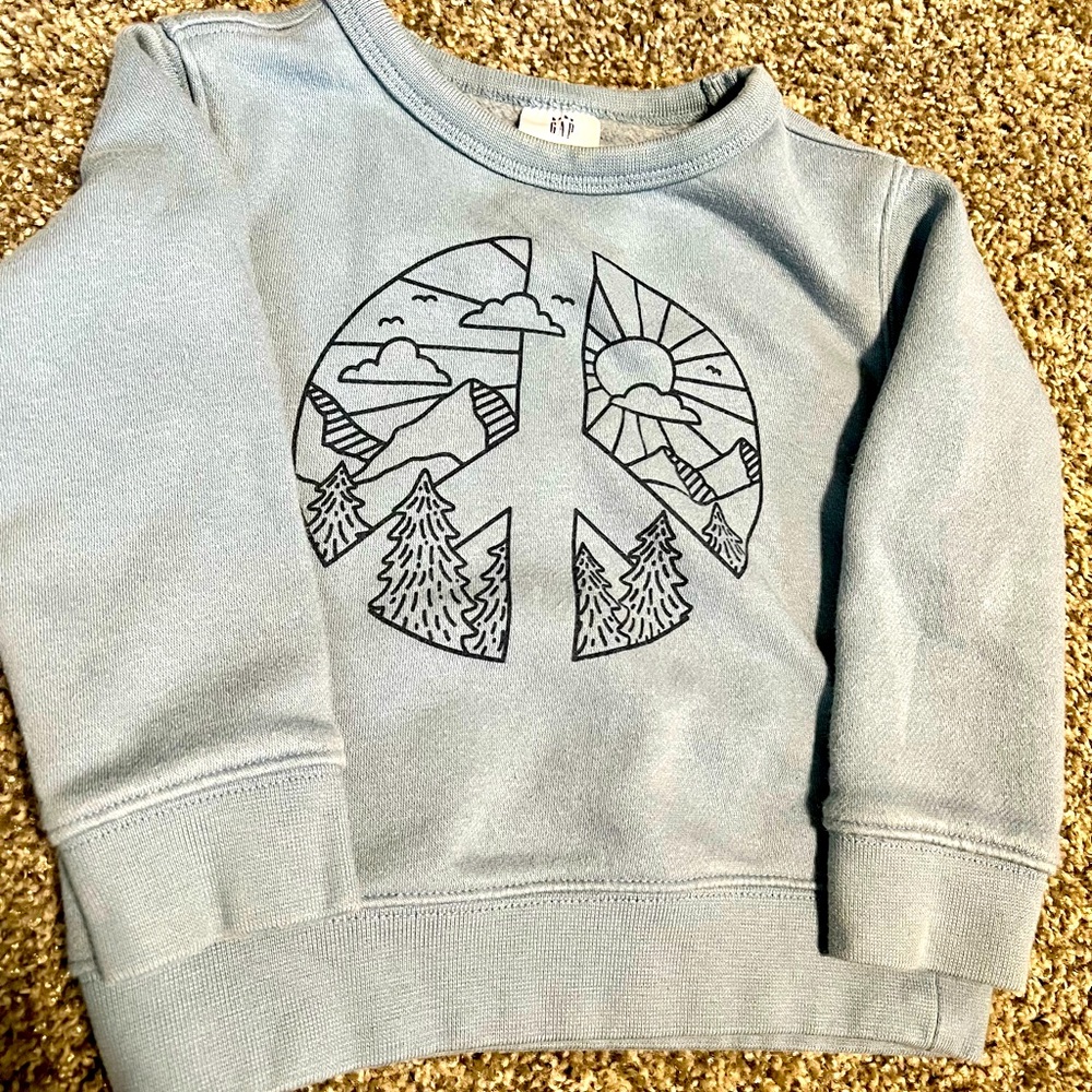 Baby Gap 2T sweatshirt.